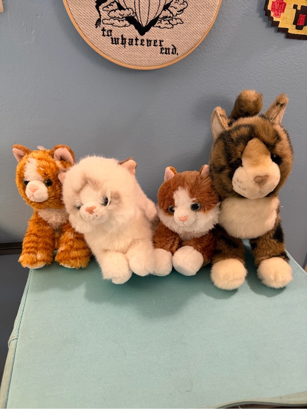 Cat plush bundle 2 aurora 1 bass pro
